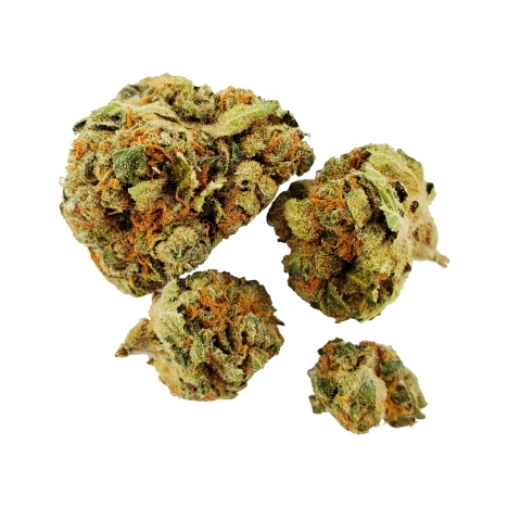 Strawberry Small Buds Indoor 13,5%