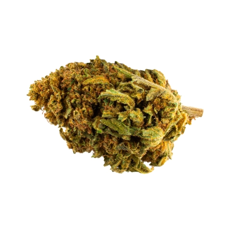 Cookie Kush Outdoor 13% - CBD-Blüten - Die CBD Farm