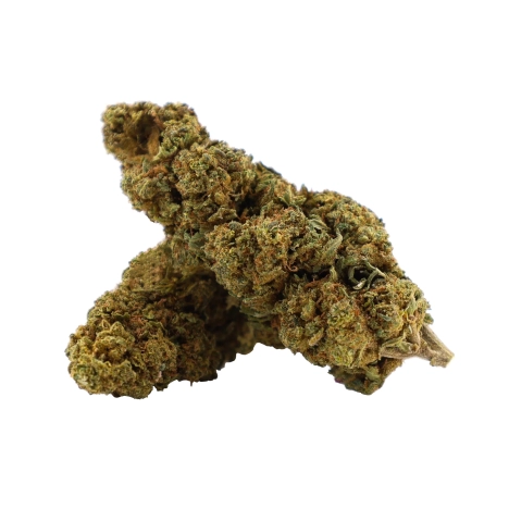 Tropical Haze Outdoor CBD 12% - CBD Blüten - Die CBD Farm