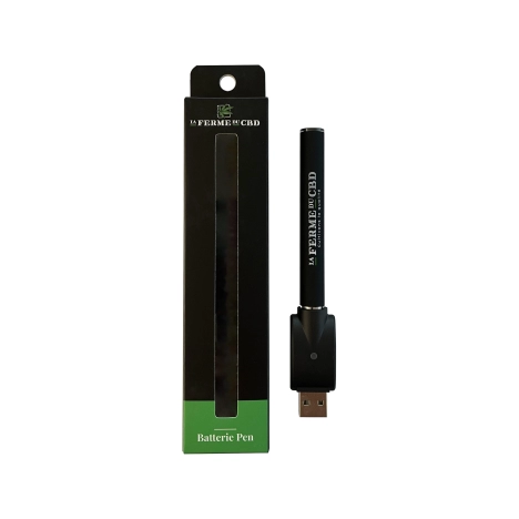 Pen Batterie
