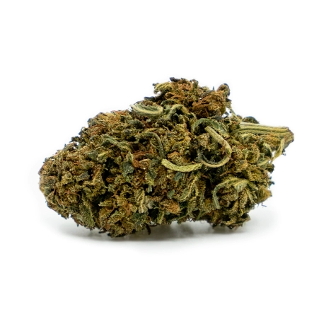 Cheese Outdoor 11%
