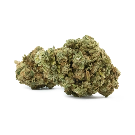 Rainbow Burst Indoor 15%