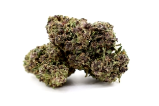 Purple Serenity Green House 18%