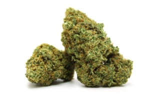 Ghost Train No.5 Indoor 20%