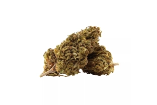 copy of Mobydick Outdoor 15%
