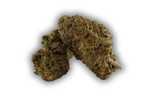 Plutonium 44 Indoor CBN 30%