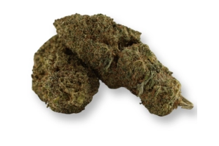 Plutonium 44 Indoor CBN 30%