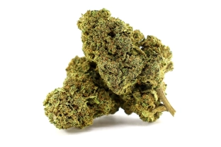 Candy Leaf Greenhouse 17%