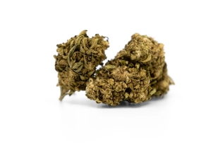Northern Light CBG Outdoor 10%