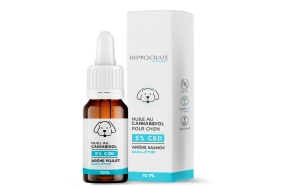 Huile CBD pour chien