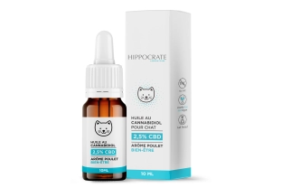 CBD-Öl für Katzen