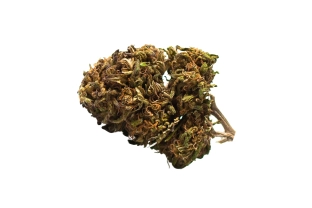 Harlequin Outdoor 12%