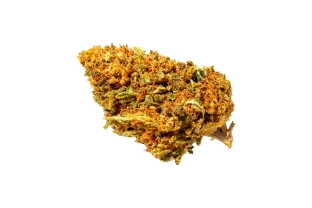 Special Sauce Outdoor 11%