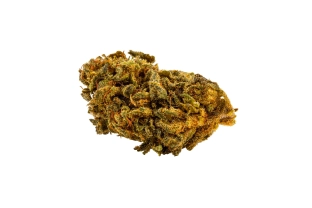Master Kush Outdoor 11%