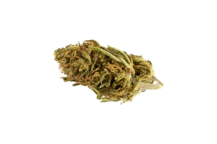 Critical Outdoor 15%