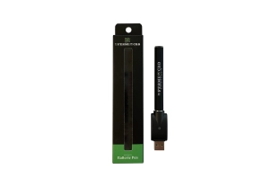 Cartridge Pen
