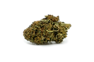 Cheese Outdoor 11%