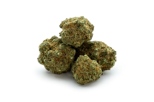 Blueberry Muffin Indoor 17%