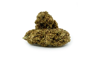 Pineapple Outdoor 14%