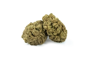 Gelato Indoor 13%