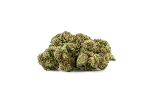 Gorilla Glue Indoor 10%