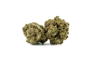 Lemon Skunk Indoor 14%