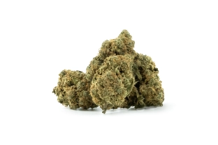 Wedding Cake Indoor 15%