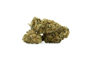 Chocolate Chip Cookie Indoor 16%