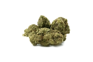Bubble Gum Indoor 14%