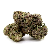 Purple Serenity Green House 18%