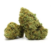 Ghost Train No.5 Indoor 20%