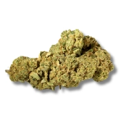 Tangerine Sunset Indoor 19%