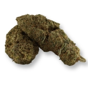 Plutonium 44 Indoor CBN 30%