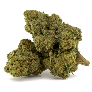 Tropical Bloom Greenhouse 17%