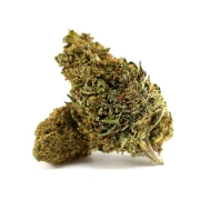 Solar Tangie Glasshouse 17%