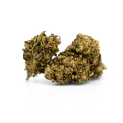Northern Light CBG Outdoor 10%