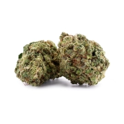 Mint Kush Indoor 13%