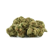 Gorilla Glue Indoor 15%