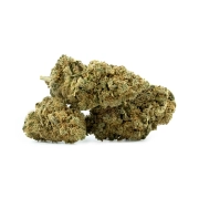 Chocolate Chip Cookie Indoor 13%