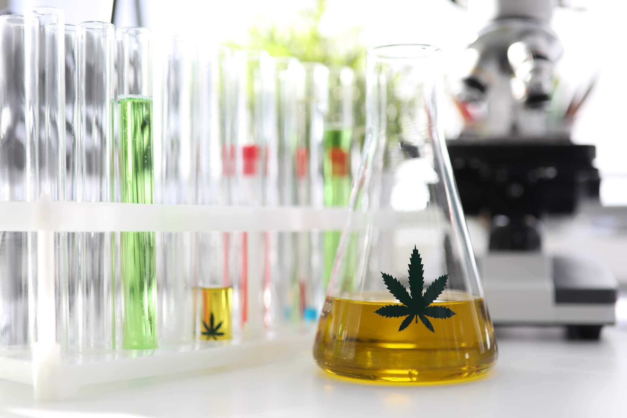 Cannabis topique et test de dépistage de drogue - RQS Blog